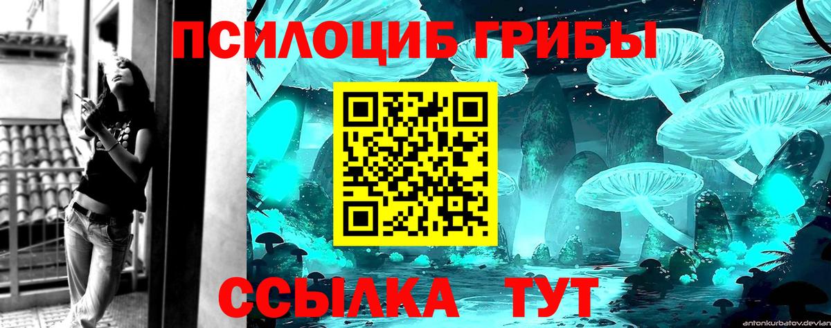 Псилоцибиновые грибы мицелий Кумертау