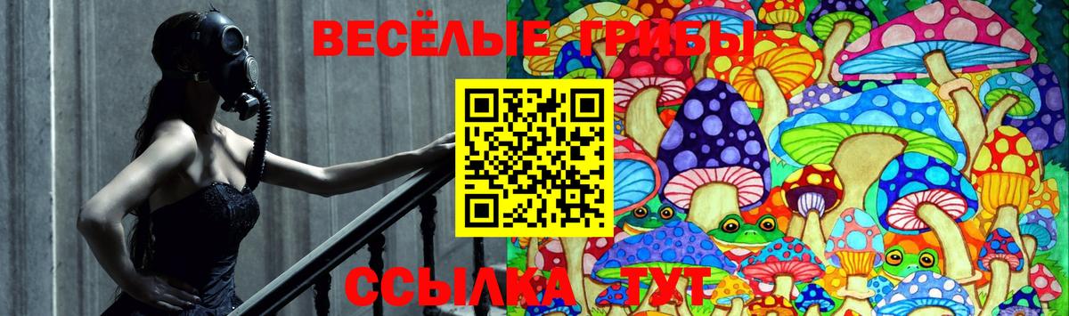 Псилоцибиновые грибы Cubensis  Вход с VPN  Кумертау 