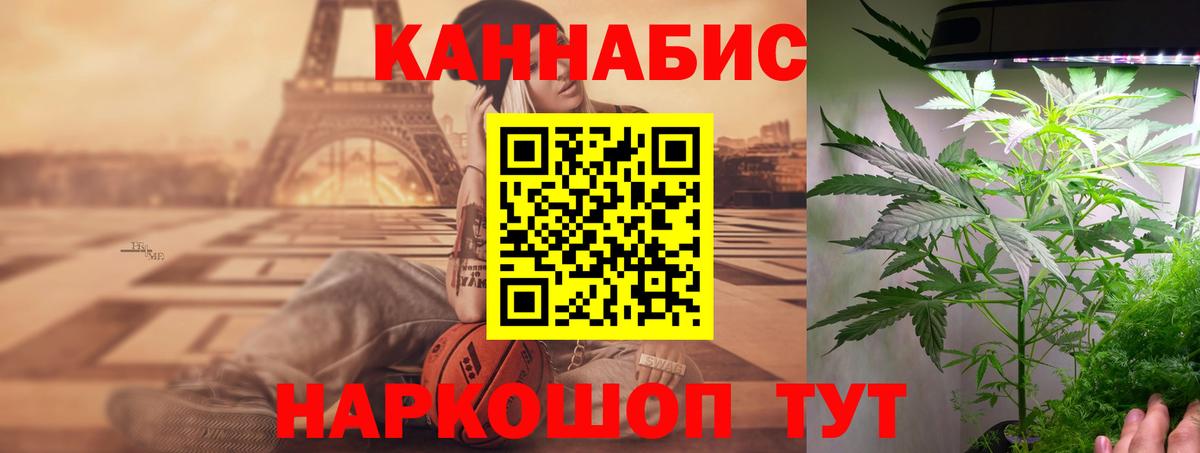 Канабис ГИДРОПОН  Марихуана план  Канабис планчик  Вход с VPN  Кумертау 